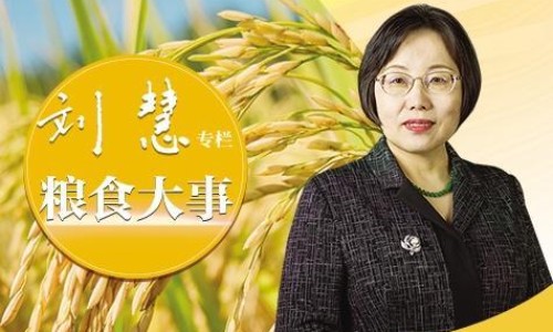 甲硝栓片-甲硝栓功效网 - 为你提供甲硝唑栓片的功效与用法、甲硝栓剂