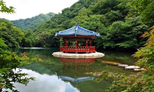 甲硝栓功效网 - 为你提供甲硝唑栓片的功效与用法、甲硝栓剂