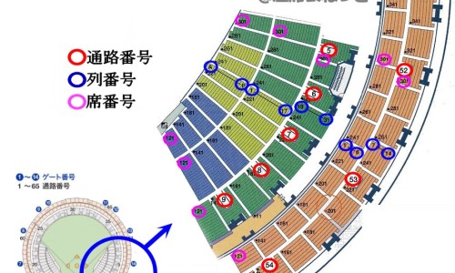 甲硝坐栓是什么药-甲硝栓功效网 - 为你提供甲硝唑栓片的功效与用法、甲硝栓剂