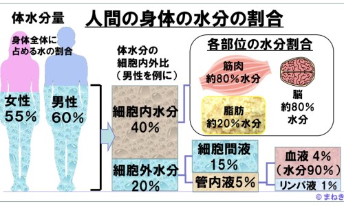 甲硝栓片-甲硝栓功效网 - 为你提供甲硝唑栓片的功效与用法、甲硝栓剂